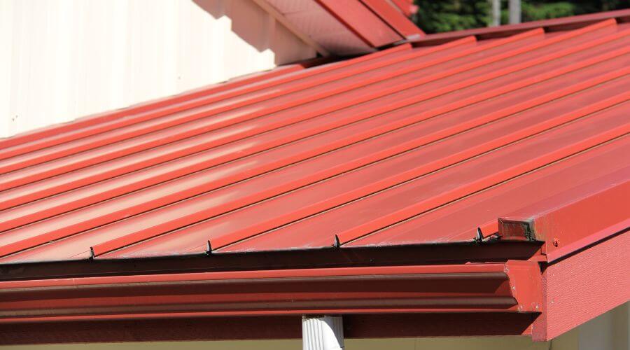 Roof Gutter Cleaning in Paris, MS